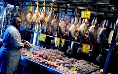  Πόσο επικίνδυνα για την υγεία μας είναι τα κοτόπουλα;