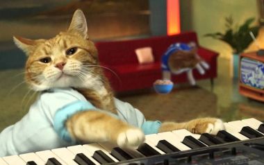 Πέθανε ο Bento η γάτα των Keyboards