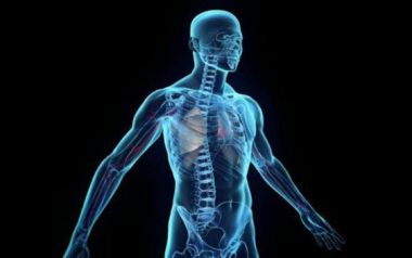 Τα μικρόβια έχουν τον πρώτο λόγο στο ανθρώπινο σώμα