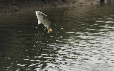 Εσάς ποιο τραγούδι σας θυμίζει το καλοκαίρι;