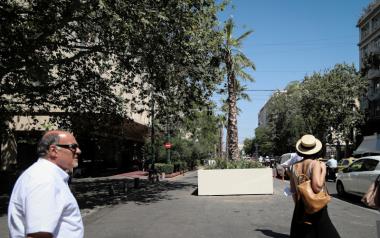 Οι φοίνικες της Πανεπιστημίου