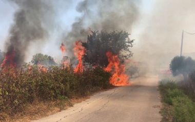 Πύρινος τρόμος στο Καπανδρίτι – Ανθρωποι φεύγουν από τα σπίτια τους