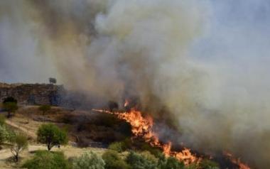Φωτιά στις Μυκήνες: Δόθηκε μάχη μέσα στον αρχαιολογικό χώρο