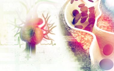 Χοληστερίνη και τριγλυκερίδια: Ποια είναι τα όρια – Υπολογισμός και ποιες τροφές την ανεβάζουν