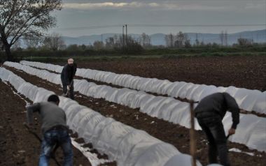 Φόρος 22%-45% στην παράλληλη αγροτική επιχειρηματικότητα