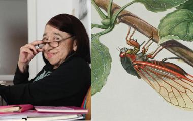 Κατερίνα Αγγελάκη - Ρουκ: ''Ο τζίτζικας'', Μέσα μου χιλιάδες τραγούδια στοιβάζονται καλοκαιρινά...