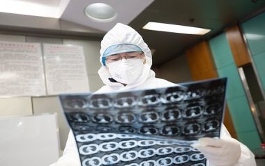 Ιός και άνθρωπος: Μια σύγκριση