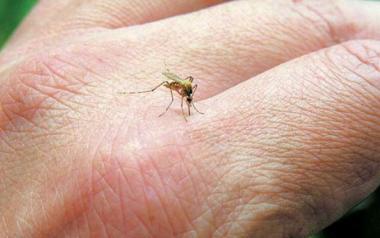 Πώς να προστατευτείτε από τα κουνούπια!