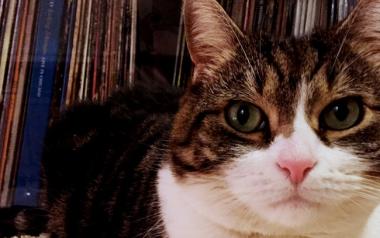 Ζούμε ανεξέλεγκτες καταστάσεις, ποτέ κανείς δεν μπορούσε να επιβάλλει ένα μόνο μουσικό είδος, όπως τώρα