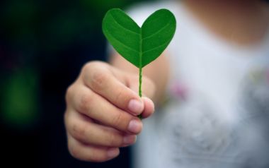 Εννέα σύντομα μαθήματα έρωτα