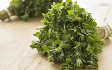 Μαντζουράνα, η ξεχασμένη ξαδέλφη της ρίγανης