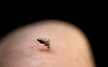 Εντυπωσιακή εφαρμογή  στο κινητό θα μας προειδοποιεί όταν πλησιάζει κουνούπι!