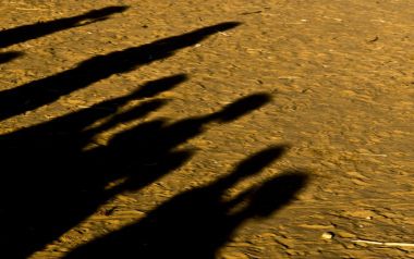 Με 3 ευρώ δίνεις μια ευκαιρία στην κεντροαριστερά