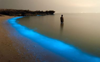 20 Υπέροχες φωτογραφίες του National Geographic από το 2015