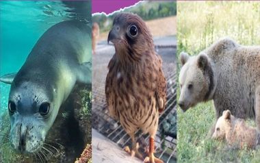 5 ελληνικές υποψηφιότητες στον τελικό για τα Βραβεία Natura 2000