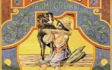 Try-Neil Young από το χαμένο άλμπουμ Homegrown