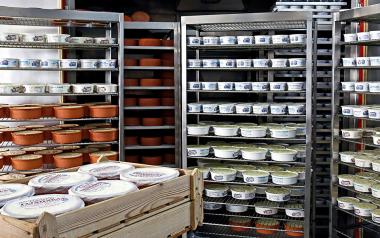 'Περνάει ο γιαουρτάς΄ 29 λόγοι για να τρώτε γιαούρτι, Ένα φυσικό αντιβιοτικό για μακροζωία 