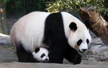 Η γέννηση ενός μωρού πάντα "έριξε" το διαδίκτυο