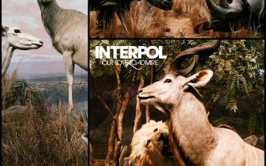 Interpol -Rest My Chemistry (2007)