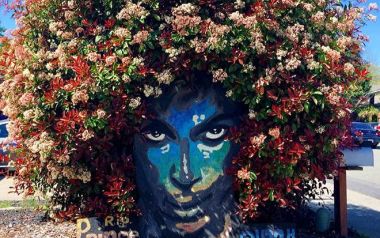 Ένα υπέροχο «μνημείο» για τον Prince στο Σακραμέντο...