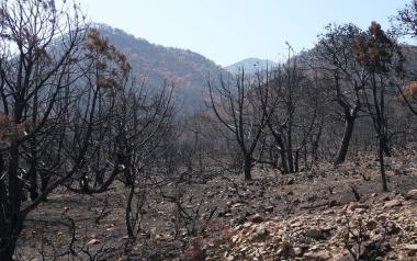 Η χώρα θα βγει από το τέλμα μόνο από ένα κόμμα και πρωθυπουργό που δεν θα σκέφτεται το πολιτικό κόστος