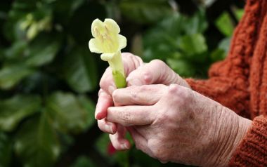 Ρευματοειδής αρθρίτιδα: Η έγκαιρη διάγνωση «κλειδί» για την αποτελεσματική θεραπεία