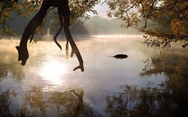 Παγκόσμια Ημέρα του Νερού: Τραγούδια με έμπνευση ποτάμια, λίμνες, καταρράχτες