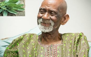 Βοτανολόγος ισχυρίζεται πως βρήκε τη «θεραπεία για όλες τις ασθένειες» και δικαιώνεται από Αμερικανικό Δικαστήριο