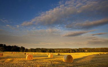 Η μουσική είναι σαν την μάνα, πάντα δίνει, στην Ελλάδα υπάρχουν αποδέκτες;