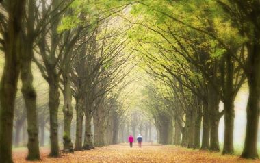 Ειλικρίνεια στα όρια της αγένειας… - Πώς καθορίζουμε ποια είναι τα όρια της; 