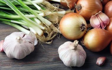 Η φύση προσφέρει πολλές θεραπευτικές λύσεις για την υγεία μας