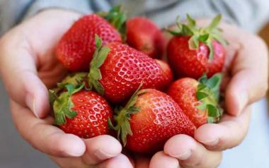 5 Φρούτα και λαχανικά που προστατεύουν τα δόντια και τα ούλα