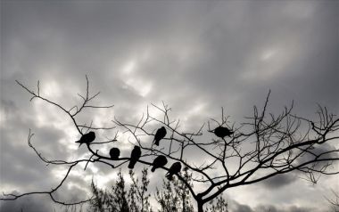 Χαλάει ο καιρός τη Δευτέρα του Πάσχα Έρχονται βροχές και καταιγίδες - Ποιες περιοχές θα επηρεαστούν