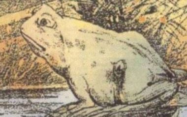 99 στους 100 ανθρώπους δεν μπορούν να εντοπίσουν το άλογο που κρύβεται στην εικόνα 