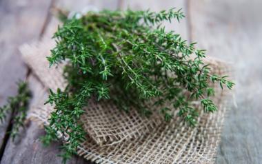 5 άγνωστες ευεργετικές δράσεις του θυμαριού