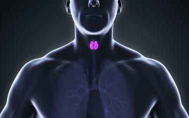 Πότε επιβαρύνει τη λειτουργία της καρδιάς ο θυρεοειδής