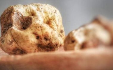 Η Ελλάδα κρύβει έναν θησαυρό που ελάχιστοι γνωρίζουν σύμφωνα με το Bloomberg