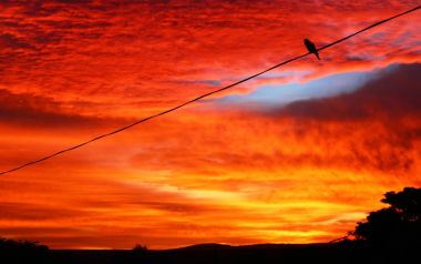 Όπου ακούς τραγούδια να πηγαίνεις, οι κακοί δεν τραγουδάνε