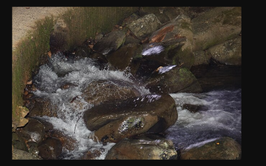Water