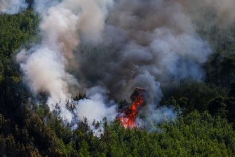 Φωτιά στα Βίλια: Σε απόσταση αναπνοής από Οινόη και Πανόραμα οι φλόγες