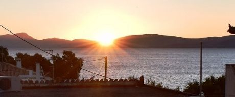 Μία διαρκής – διαυγής παρουσία