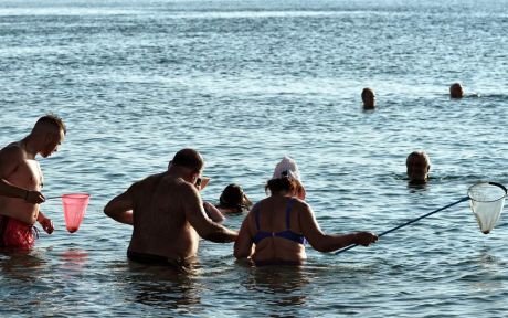 Οι Ελληνικές θάλασσες πεθαίνουν από την αδιαφορία επαγγελματιών & πολιτών