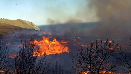 Κάηκαν σπίτια και εκκενώθηκαν κατασκηνώσεις στον Κάλαμο - 10 ενεργά μέτωπα στη Ζάκυνθο