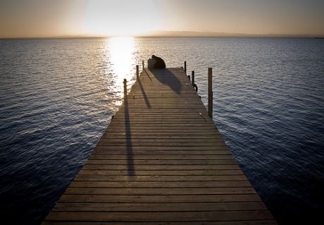 (Sitting on) The Dock Of The Bay-Otis Redding