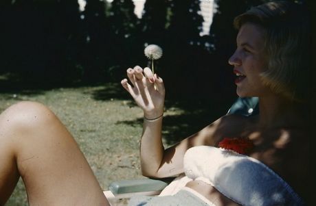 Sylvia Plath: η γυναίκα που ήθελε να είναι τα πάντα...