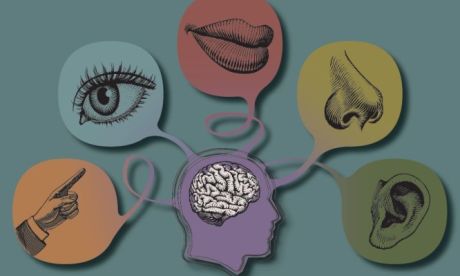 Η μουσική εξάπτει όλες τις αισθήσεις μας, αλλά όχι και τις αισθήσεις των πολιτικών