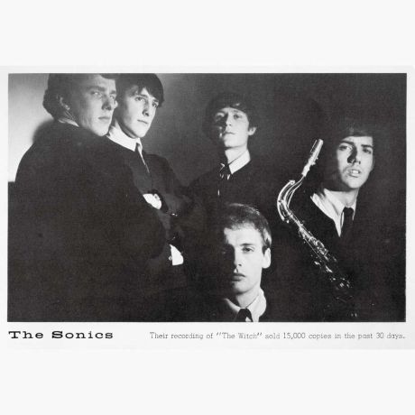 Have Love, Will Travel - The Sonics