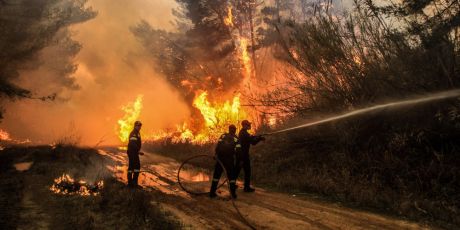 Μεγάλη φωτιά στην Εύβοια – στην Αττική η οσμή του καπνού