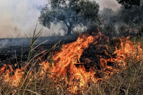 Μ. Χρυσοχοΐδης-Ν. Χαρδαλιάς: Παραμένουμε σε επιφυλακή - Ήταν μία πάρα πολύ δύσκολη φωτιά - Η πυρκαγιά είναι σε ύφεση