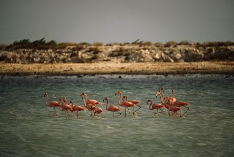 21 ξεχασμένες φωτογραφίες του National Geographic οι οποίες δεν είχαν ποτέ δημοσιευθεί... 